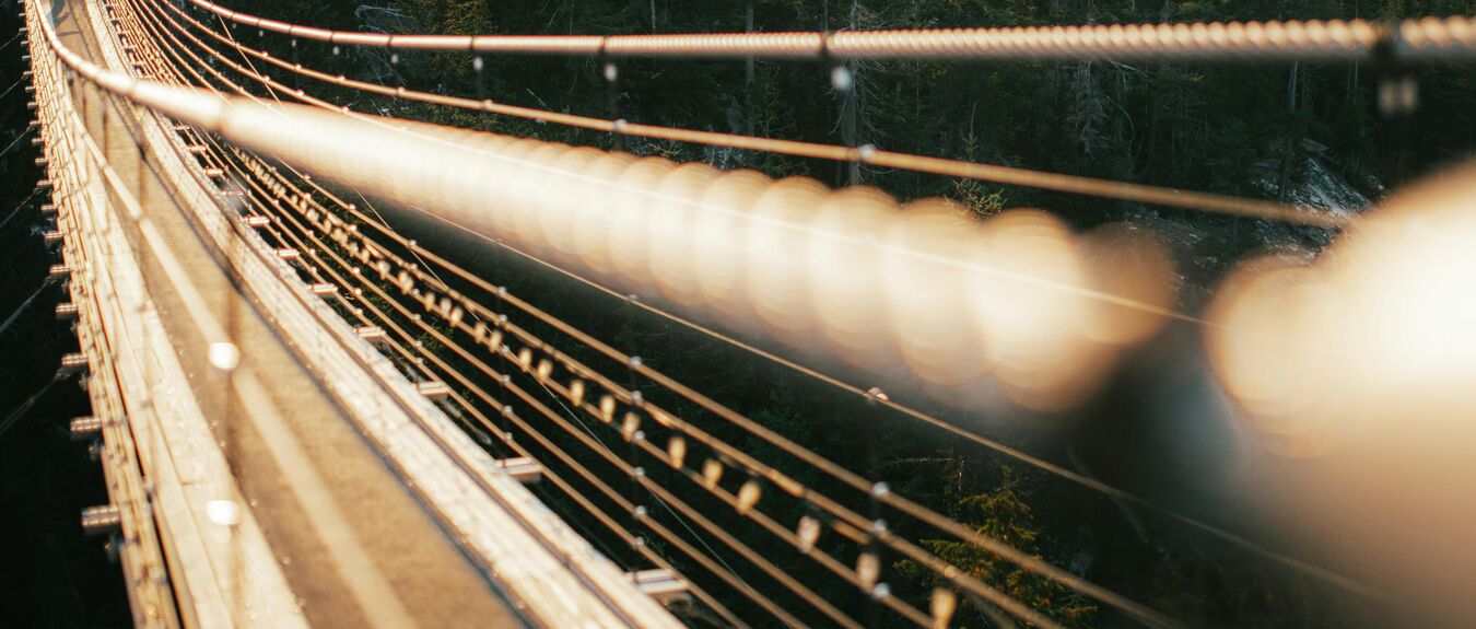 image_1